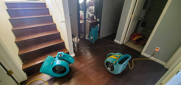 Best Flooded house restoration  in Minnehaha, WA