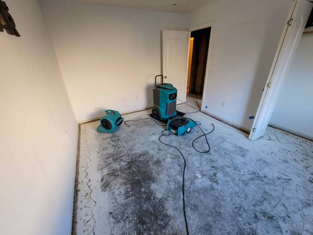 Best Commercial water damage restoration  in Minnehaha, WA