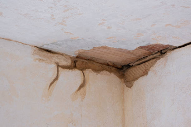 Best Water damage contractors near me  in Minnehaha, WA