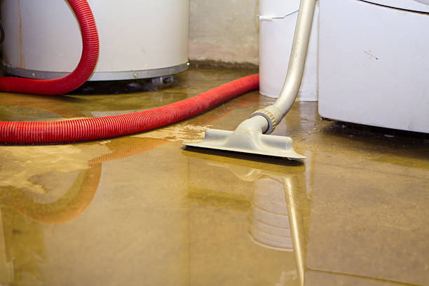 Best Carpet water damage restoration  in Minnehaha, WA