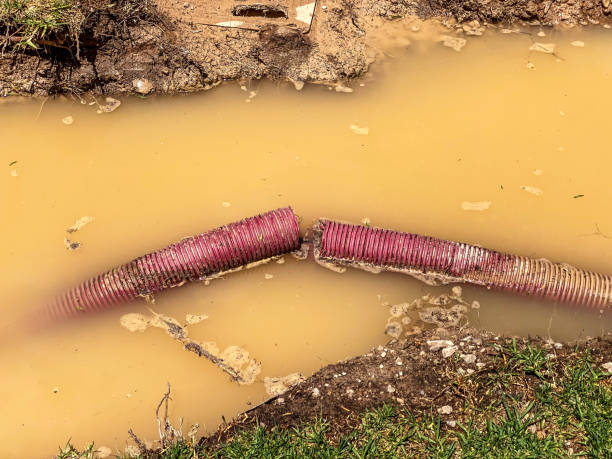 Best Professional water damage repair  in Minnehaha, WA