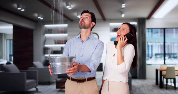 Best Residential water damage restoration  in Minnehaha, WA